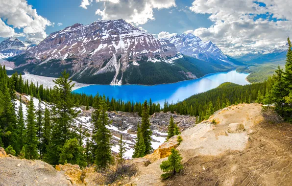 Picture Banff National Park, Canada, Peyto lake