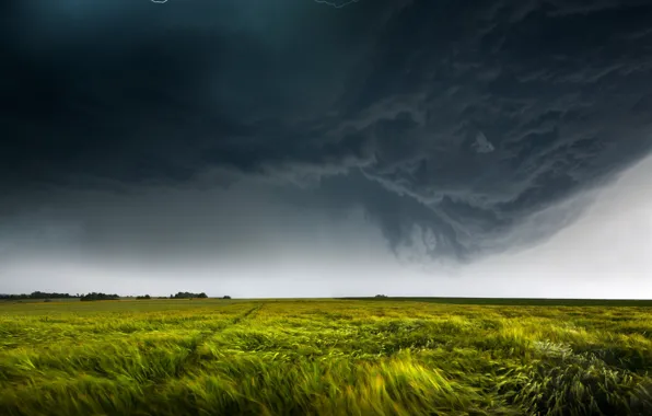 Field, the sky, clouds, nature, the wind, lightning