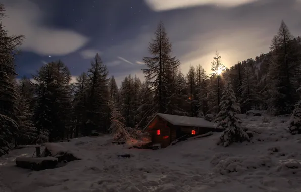 Picture winter, forest, snow, trees, mountains, Switzerland, Alps, the snow