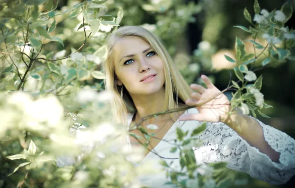 Picture greens, smile, mood, sweetheart, hair, blonde, lace