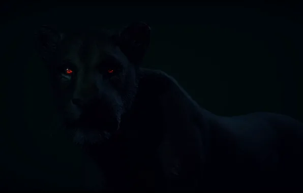 Picture look, animal, predator, Panther, black, red eyes