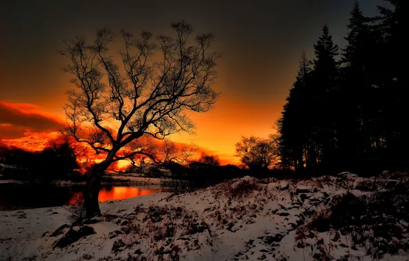 FOREST, The SKY, SUNSET, SHORE, TREES, RIVER, SHADOWS, DAWN