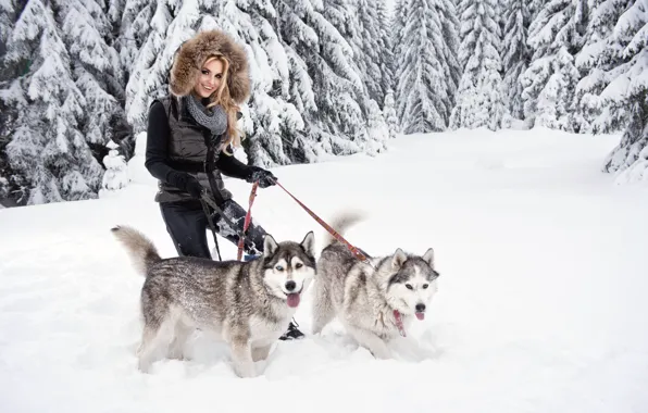 Picture girl, snow, smile, blonde, husky