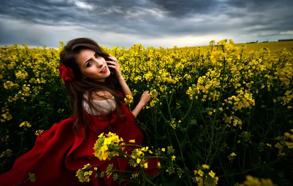 Field, girl, clouds, flowers, smile, brown hair, brown-eyed