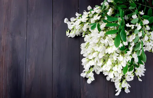 Board, bouquet, acacia