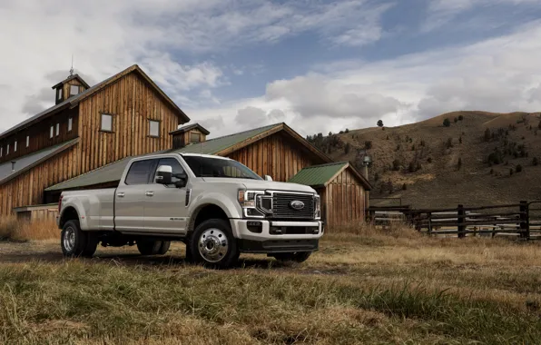 Ford, pickup, Super Duty, F-450, Limited, the house, 2019, F-series