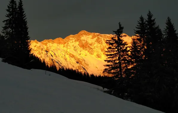 Picture snow, trees, mountains, the last rays, sunset in the mountains