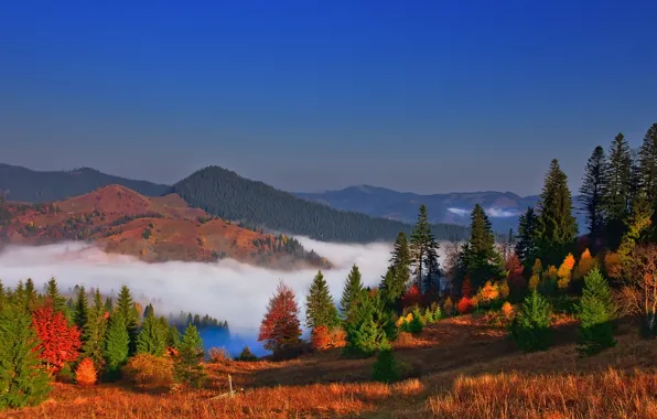 Autumn, the sky, trees, mountains, nature, fog, colors, Landscape