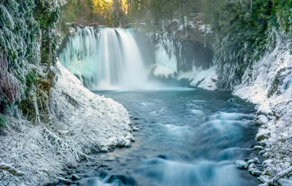 Picture winter, forest, snow, nature, river, waterfall, morning