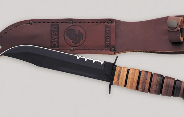 Picture knife, sheath, Dagger