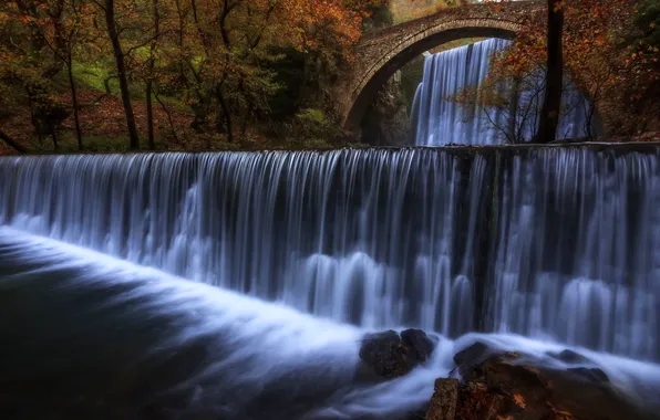Autumn, forest, trees, bridge, nature, Park, stones, rocks