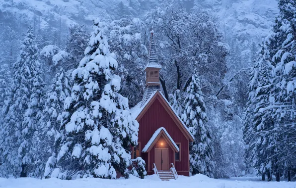 Picture winter, forest, snow, trees, ate, CA, chapel, California