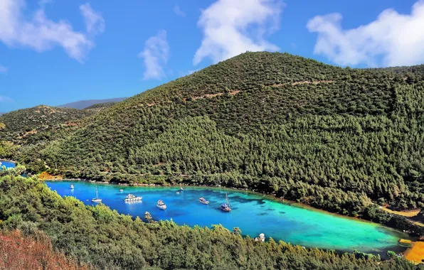 Bay, yachts, Turkey, Bodrum