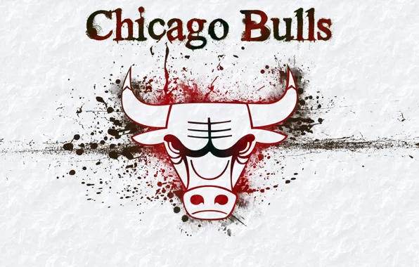 Picture background, logo, logo, basketball, Logo, NBA, Chicago Bulls, bull