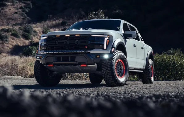 Ford, Raptor, Vorsteiner, Off Road, Ford F-150, Pickup-Truck, Road, R Carbon
