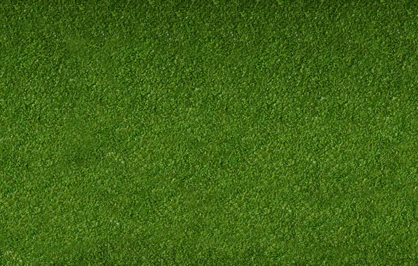 Greens, Grass, Lawn