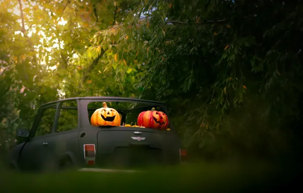 Machine, autumn, branches, nature, foliage, pumpkin, the trunk, car