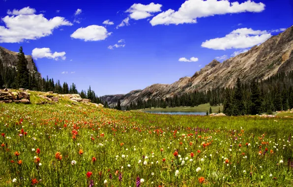 Grass, clouds, flowers, mountains, lake, meadow