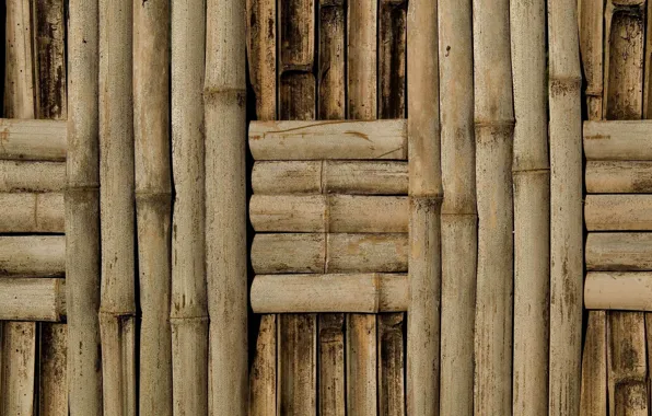 Picture wall, pattern, bamboo