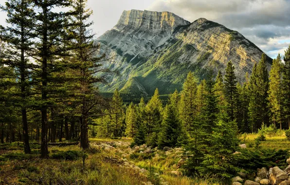 Banff National Park, Alberta, Canada, Mount Rundle, Early Light