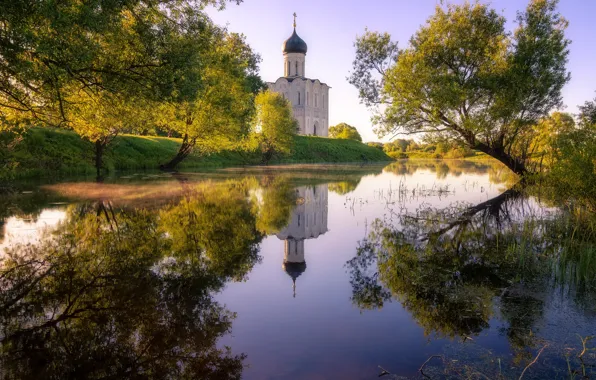 Trees, reflection, river, Church, Bank, Bogolyubovo, Nerl