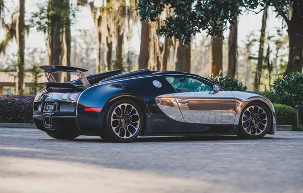 Picture Bugatti, Veyron, Bugatti Veyron 16.4 Grand Sport Sang Bleu