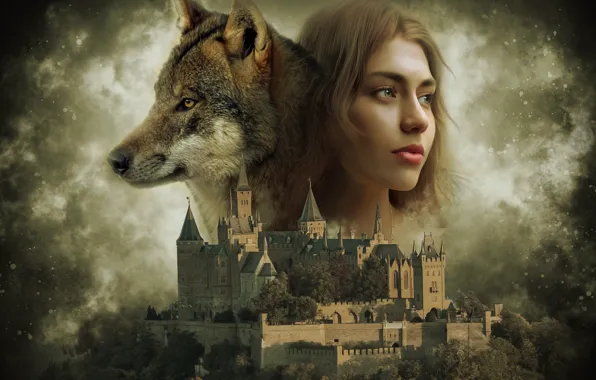 The sky, castle, wolf, girl art
