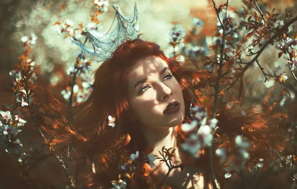 Picture leaves, girl, light, crown, Princess