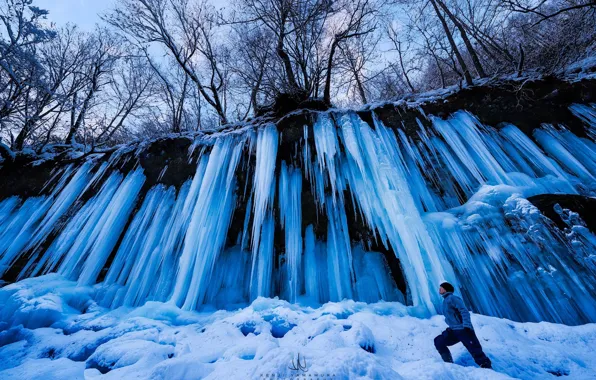 Snow, trees, people, icicles, photographer, Kenji Yamamura