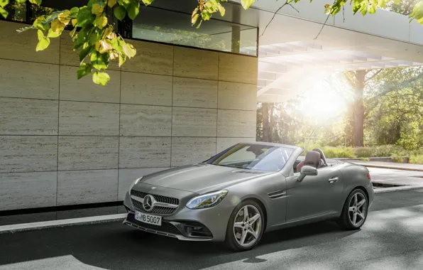 Picture Mercedes-Benz, convertible, Mercedes, AMG, R172, SLC-Class