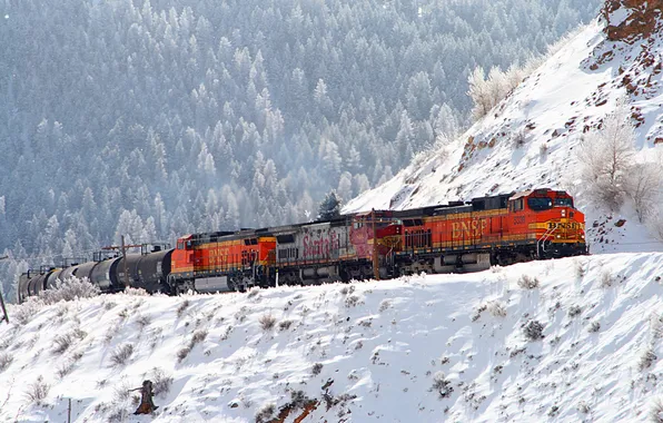 Winter, forest, snow, train