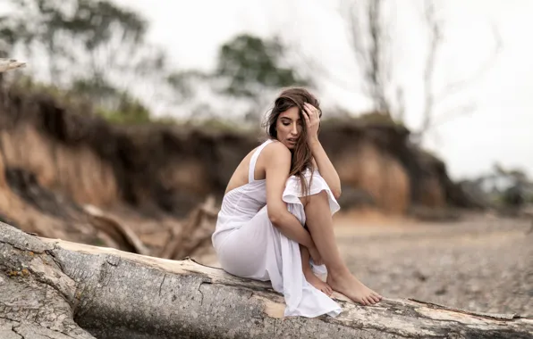 Picture girl, pose, tree, dress, brown hair, bokeh