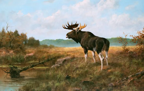 Picture, River, Moose, German artist, George Majewicz, George Majevich, Moose at the watering hole