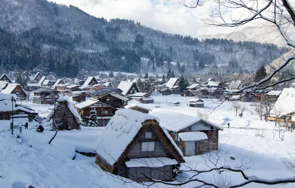 Picture winter, snow, mountains, branches, hills, village, home, Japan