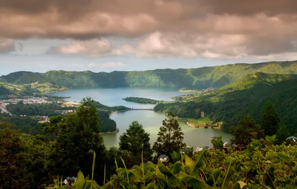 Forest, the sky, clouds, trees, mountains, clouds, lake, panorama