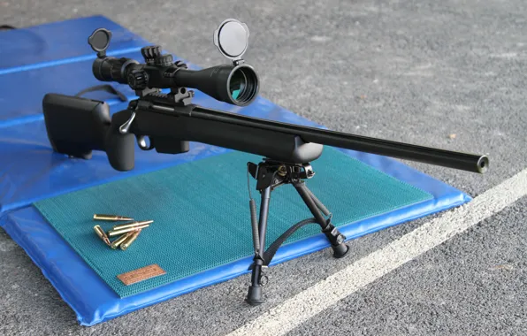 Picture weapons, optics, bullets, rifle, sniper, Tikka T3