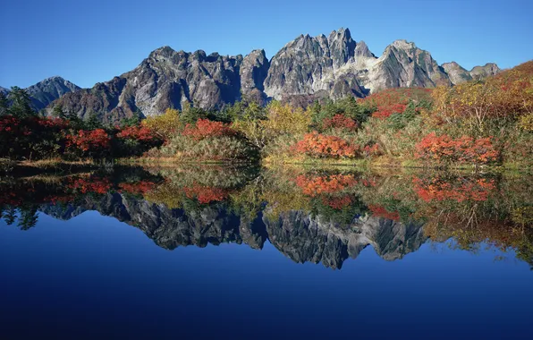 Autumn, mountains, lake, reflection, the bushes