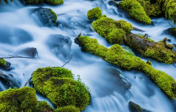 Picture river, stones, moss, stream