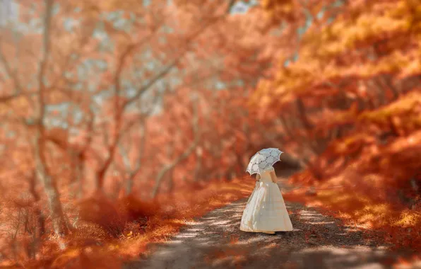 Picture autumn, umbrella, dress, girl, walk