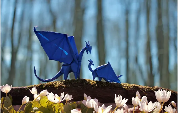 Forest, trees, flowers, blue, dragons, branch, puppy, forest