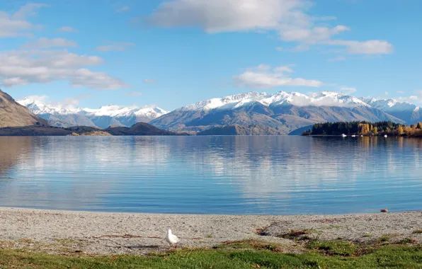 Mountains, lake, shore, New Zealand, Panoramic, Lake Wanaka