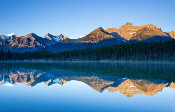 Mountains, reflection, Canada, Albert, Banff National Park, Herbert Lake, Lake Herbert