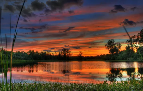 Picture the sky, water, clouds, trees, landscape, sunset, nature, lake