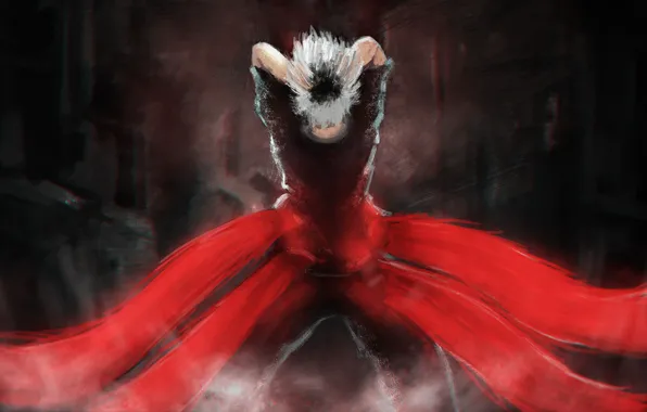 Art, white hair, Ken Kanek, Tokyo ghoul, Tokyo ghoul, Sasaki Smell