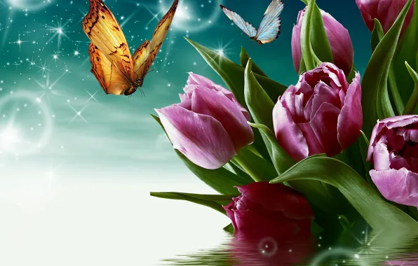 Water, flowers, butterfly, tulips