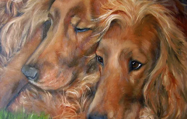 Dogs, look, pose, oil, portrait, dog, pair, painting