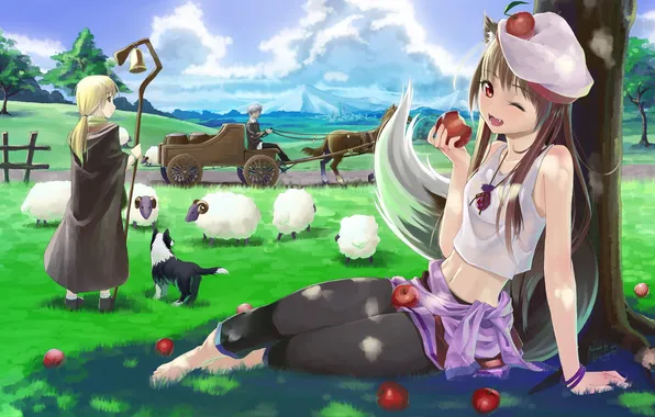 Picture girl, tree, apples, sheep, wolf, spice and wolf, shepherd, spice and wolf