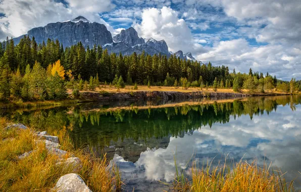 Forest, the sky, mountains, lake, shore, the slopes, pond