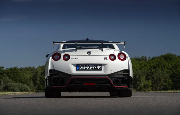 Picture white, Nissan, GT-R, rear view, R35, Nismo, 2020, 2019