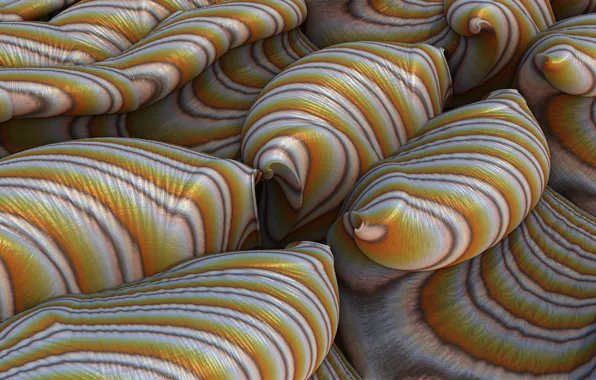 Macro, strips, pattern, form